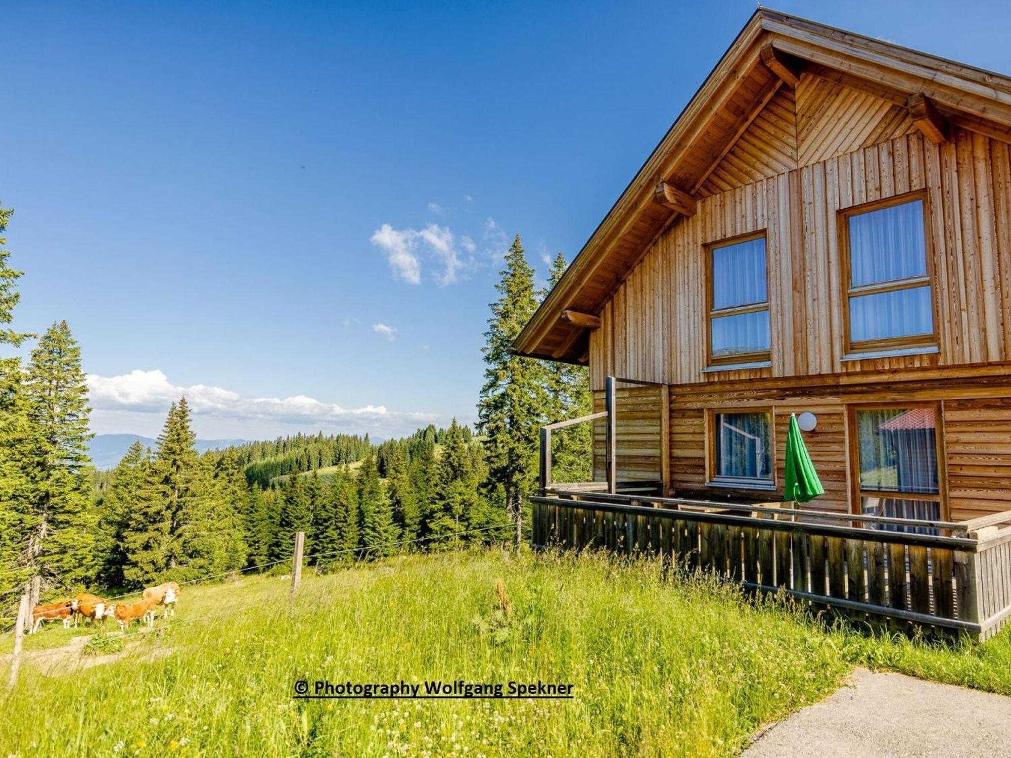 Вилла Mountain Hut With Sauna On Weinebene Posch Alpe Экстерьер фото