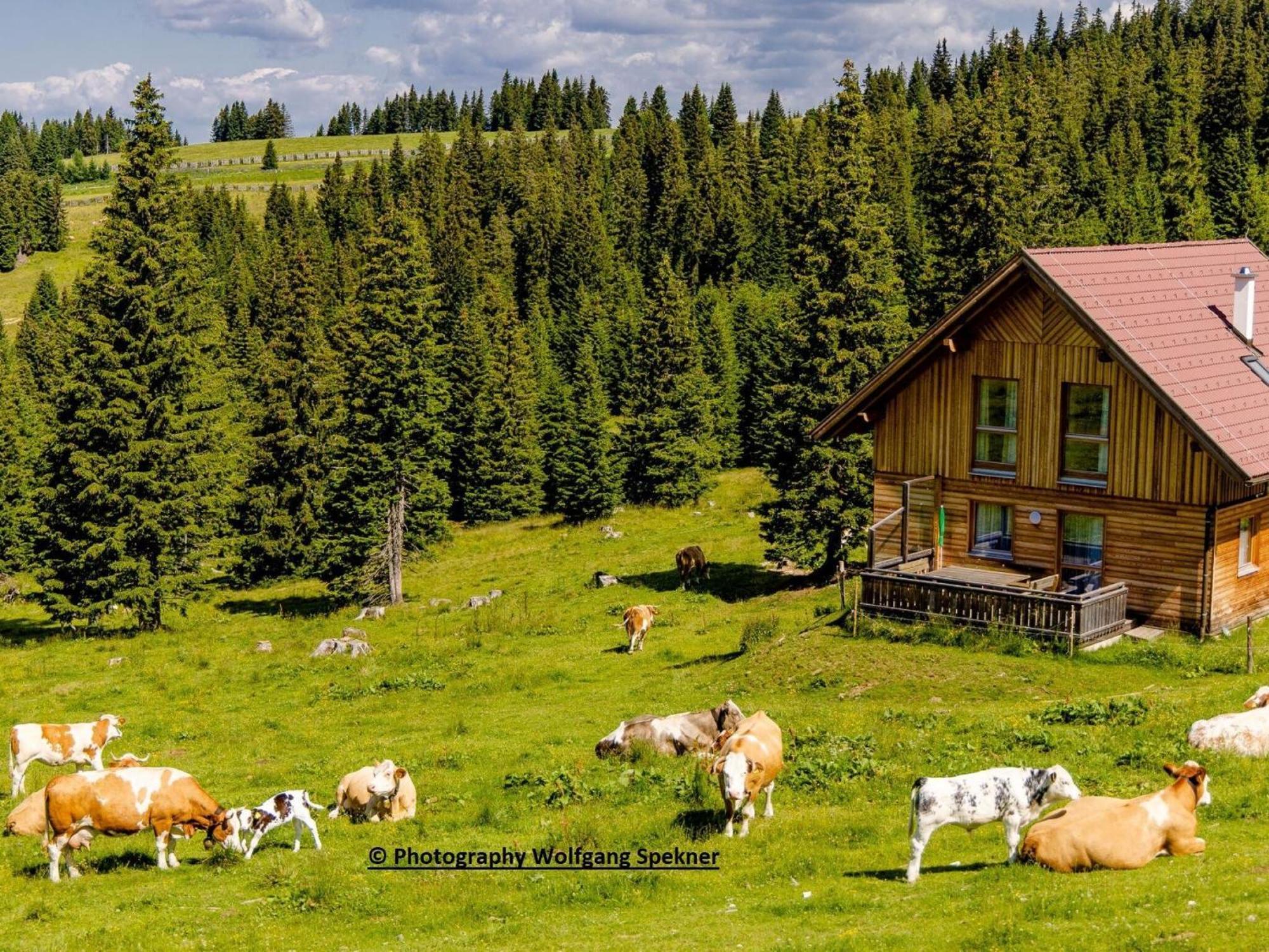 Вилла Mountain Hut With Sauna On Weinebene Posch Alpe Экстерьер фото